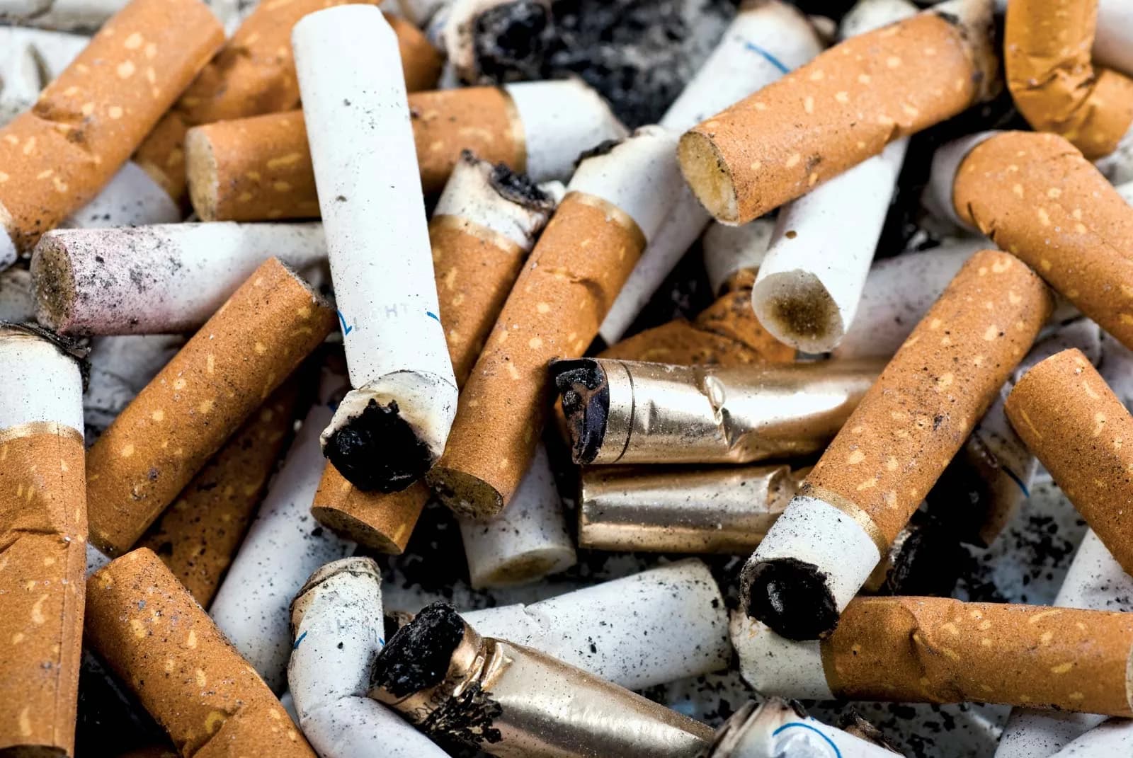 Your Trusted Source for Belmont Cigarettes: My Native Smokes