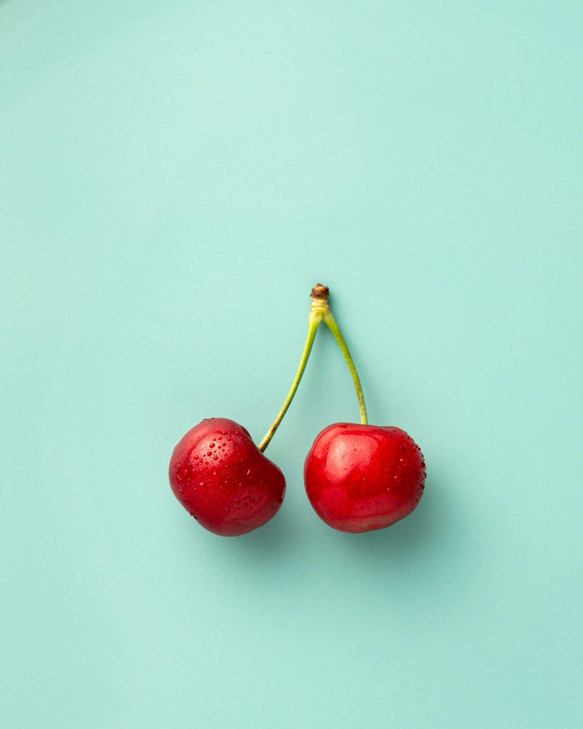 Immediate Food Help Near You | The Free Food Project