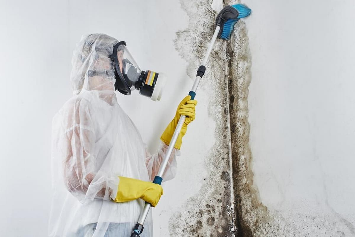 Complete Restoration Services – mold remediation kyle tx
