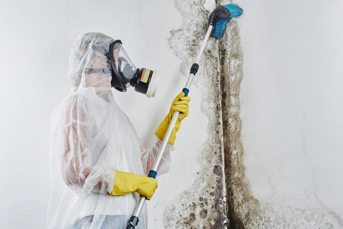 Complete Restoration Services – mold remediation kyle tx