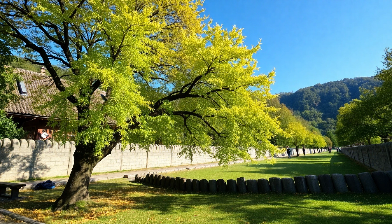 葉酸サプリ おすすめ15選｜2025年版、妊活から妊娠初期に最適な選び方